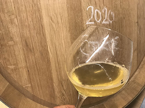 Chardonnay 2020 ve sklence